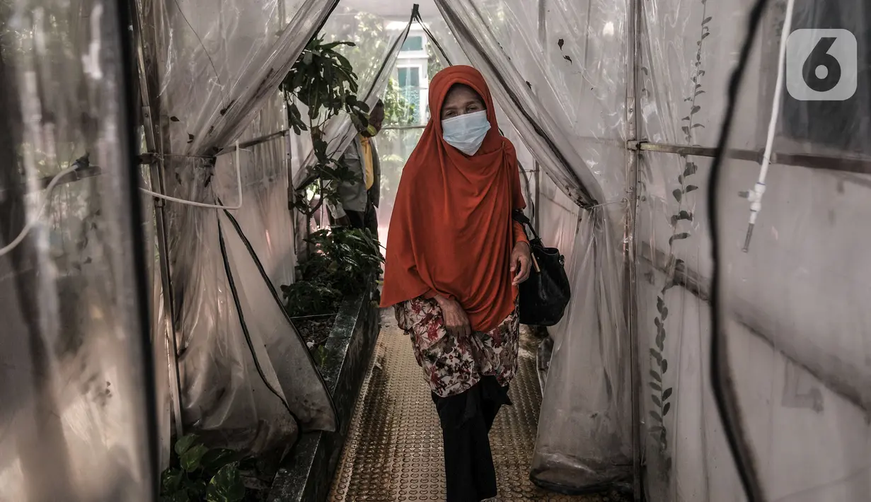 Warga lansia melewati bilik disinfektan saat memasuki Puskesmas Kecamatan Cilincing, Jakarta, Selasa (23/2/2021). Puskesmas Kecamatan Cilincing akan menggelar vaksinasi bagi lansia hingga Jumat (26/2) dengan kuota 100 orang per hari. (merdeka.com/Iqbal S. Nugroho)
