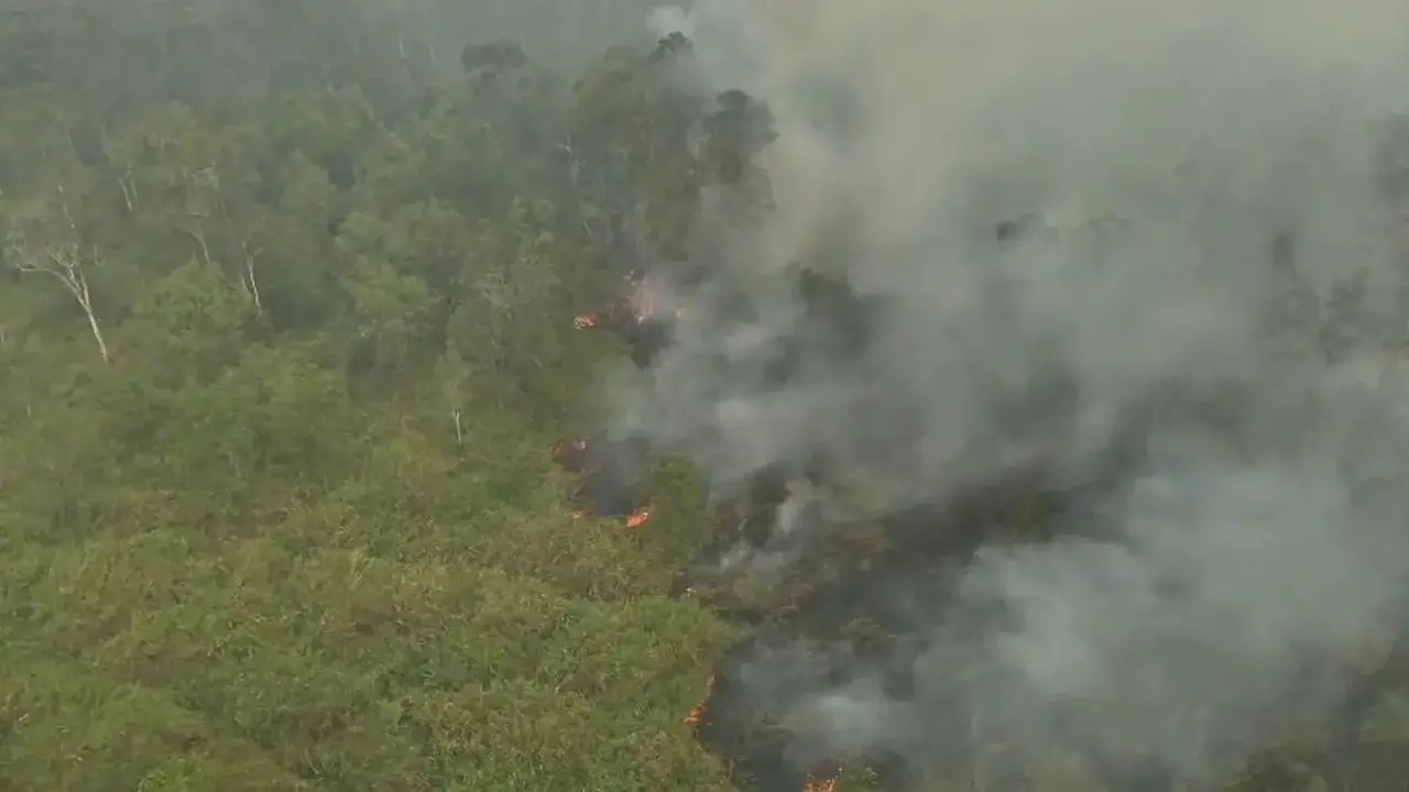 Kebakaran hutan dan lahan di Taman Nasional Way Kambas Lampung Timur. (Liputan6.com/Istimewa).