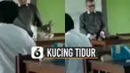 Ada-ada saja ulah kucing satu ini.