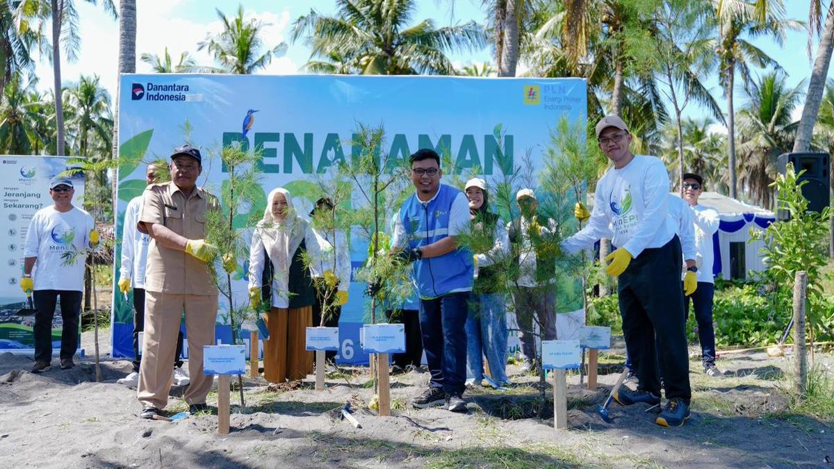 Penanaman Ribuan Pohon Cemara Udang Lindungi Pesisir Lombok, Peringati Hari Keanekaragaman Hayati
