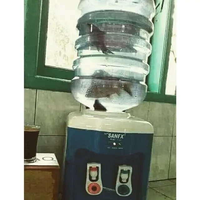 6 Akuarium Low Budget Ini Absurd Banget, Enggak Habis Pikir