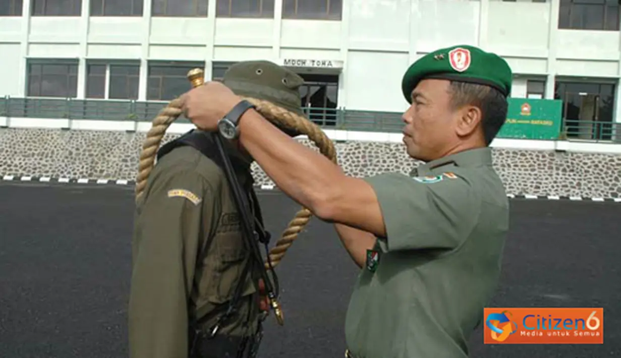 liputan6