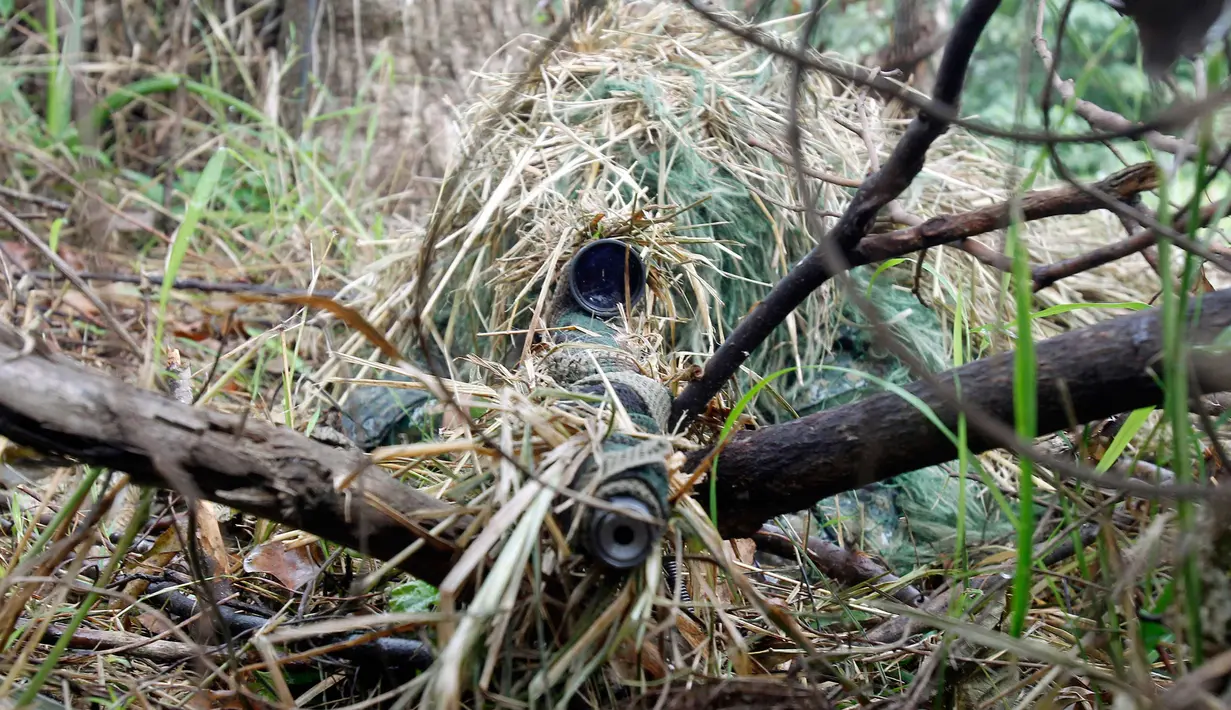 Seorang sniper bersembunyi di semak belukar selama latihan militer di Hualien, Taiwan timur, (30/1). Militer Taiwan memulai latihan gabungan dua hari untuk menunjukkan tekadnya untuk mempertahankan diri dari ancaman China. (AP Photo/Chiang Ying-ying)