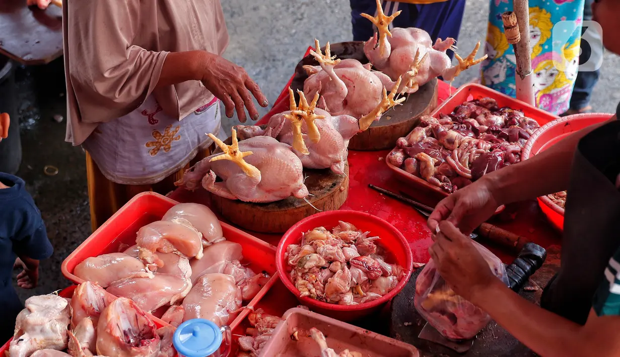 Adapun Presiden Jokowi mengatakan kenaikan harga ayam terlalu tinggi dan menduga ada permasalahan dalam rantai pasok komoditas ayam. (Liputan6.com/Angga Yuniar)
