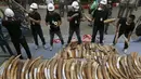 Petugas menata gading gajah sitaan di Departemen Taman Nasional, Margasatwa dan Konservasi Tanaman, Bangkok, Thailand, Rabu (26/8/2015). Sekitar dua gading gajah dihancurkan dengan cara dibakar . (REUTERS/Chaiwat Subprasom)