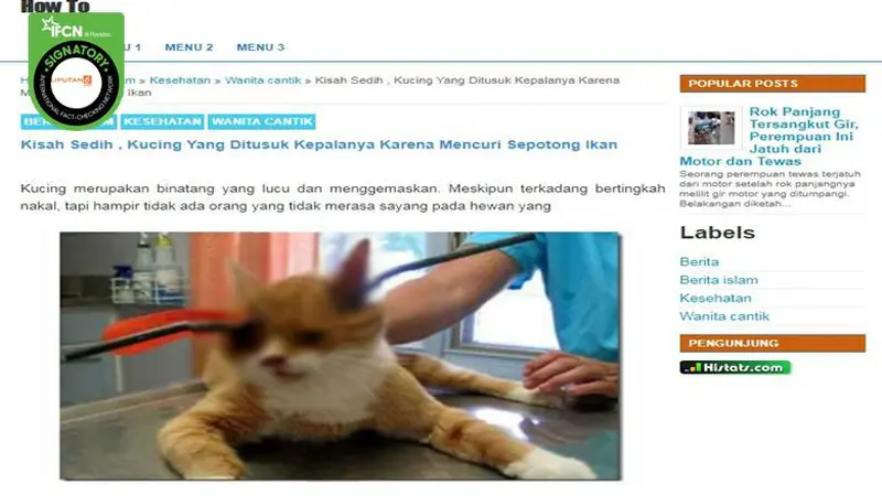 Gambar Tangkapan Layar Berita Tentang Kucing