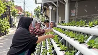 Lahan Terbatas Bukan Halangan, PNM Ajak Nasabah Mekaar Kembangkan Pertanian Urban