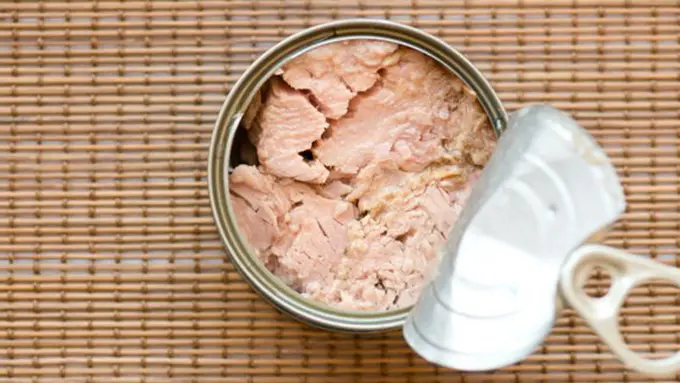 Sarden Kalengan/Copyright Shutterstock