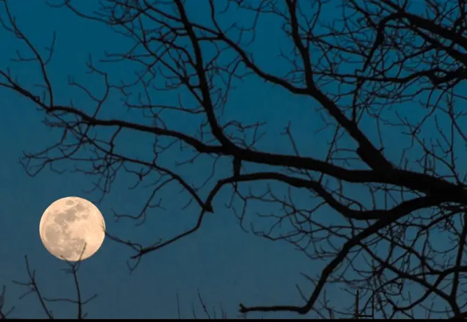 Full Worn Moon (AFP)