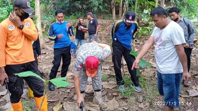 Tagana Banyumas dan kepolisian beserta sejumlah pihak lainnya melacak jejak macan dan mencari keberadaannya di hutan sekitar Windunegara, Wangon. (Foto: Liputan6.com/Tagana Banyumas)