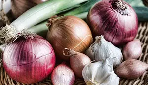 9 Barang Dapur yang Sering Salah Disimpan, Hindari Picu Kerusakan Cepat