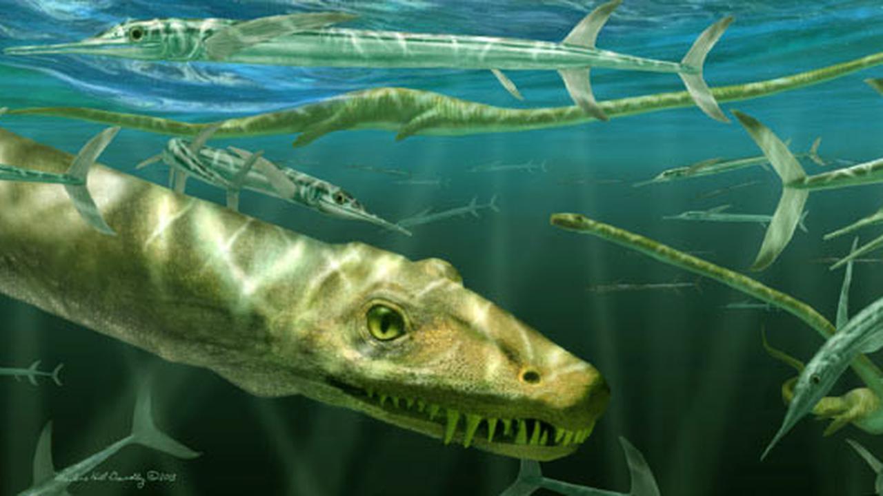 Ilustrasi Dinocephalosaurus
