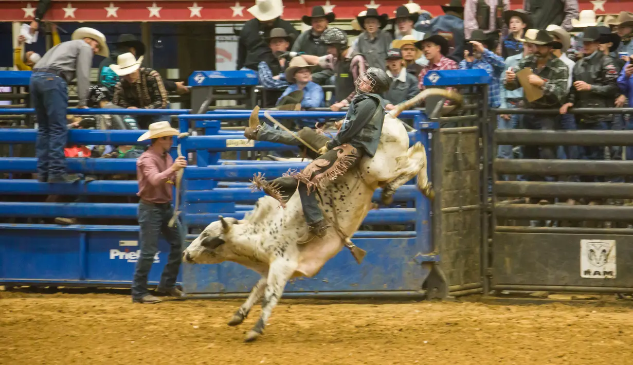 Seorang koboi junior bersaing dalam kompetisi World Finals for the International Miniature Bull Rider 2020 di Mesquite, Texas, AS, 9 Desember 2020. Kompetisi yang diselenggarakan oleh International Miniature Bullrider's Association itu diikuti oleh lebih dari 260 kontestan. (Xinhua/Dan Tian)