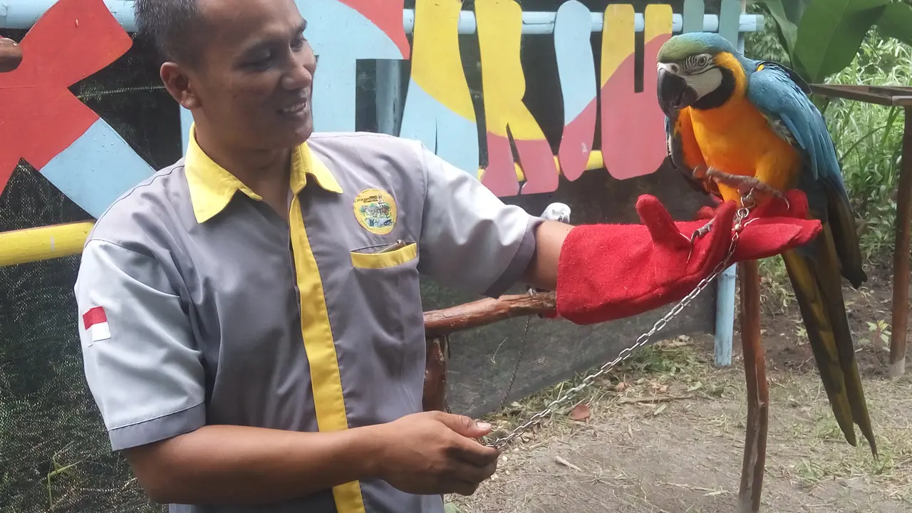 Jogja Exotarium Sleman