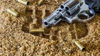 Ilustrasi penembakan (Dok. Pixabay/stevepb)