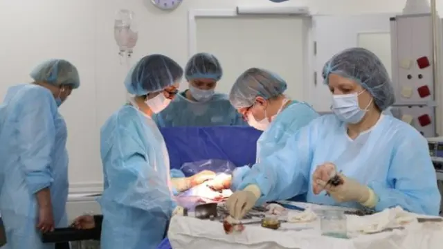 Mengeluh Sakit Perut, Dokter Temukan Kista Berisi Gumpalan Rambut dari Indung Telur Wanita Ini