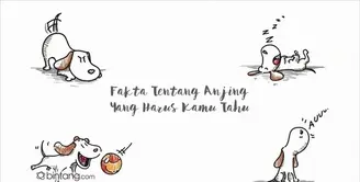 Fakta Tentang Anjing yang Harus Diketahui.
