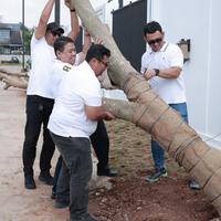 Familia Urban Perkuat Konsep Green Living Lewat Penanaman 100 Pohon Trembesi di Bekasi