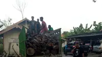 Duh, 2 Pelajar di Blora Diduga Terlibat Pencurian Kayu Hutan