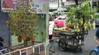 6 Cara Unik Orang Jualan Buah Ini Anti-mainstream, Nyeleneh Banget (sumber: Twitter/submitkonten)