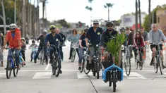 Orang-orang mengendarai sepeda di jalan-jalan bebas kendaraan bermotor selama acara CicLAvia di Culver City, Los Angeles, Minggu (3/3). Di Los Angeles, car free day disebut juga CicLAvia dan pertama kali diadakan pada 10 Oktober 2010. (Chris Delmas/AFP)