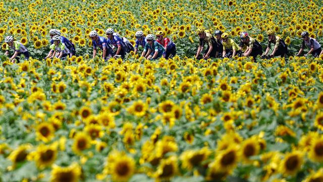 Foto: Menikmati Keindahan Jalur Balapan Sepeda Tour de France 2023