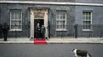 Larry the Cat (depan) berjalan melewati Perdana Menteri Inggris Keir Starmer (kedua kiri) saat menyambut Presiden Indonesia Prabowo Subianto untuk pertemuan mereka di Downing Street di pusat kota London pada 20 Januari 2026. Presiden Republik Indonesia, Prabowo Subianto melakukan pertemuan dengan Perdana Menteri (PM) Inggris, Keir Starmer, di Kantor PM Inggris, Downing Street, London, Selasa (20/01/2026). (JUSTIN TALLIS/POOL/AFP)