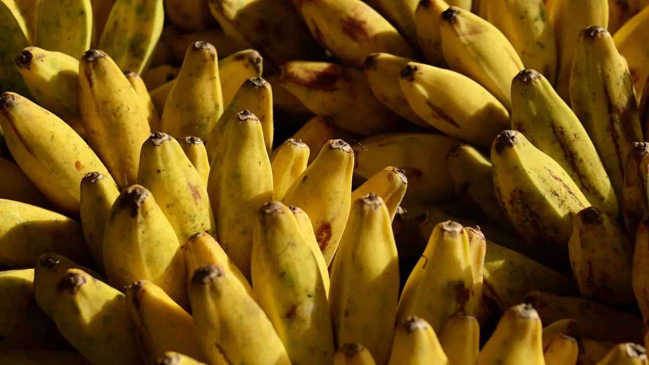 Pisang