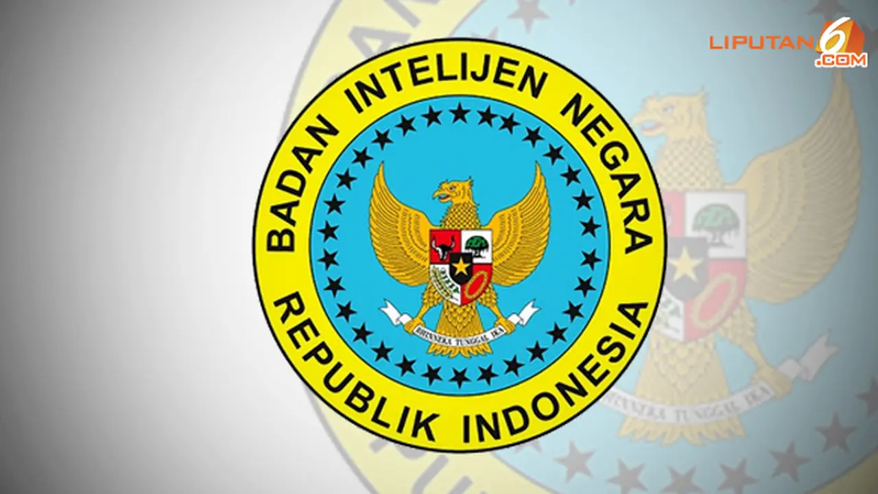 bin-131122b.jpg