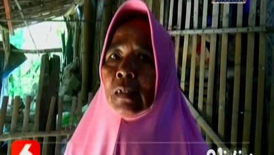 VIDEO: Petugas Damkar Tangkap Ular Piton 4 Meter di Sekitar Rumah Warga Tuban