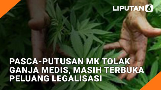 Pasca-Putusan MK Tolak Ganja Medis, Masih Terbuka Peluang Legalisasi?