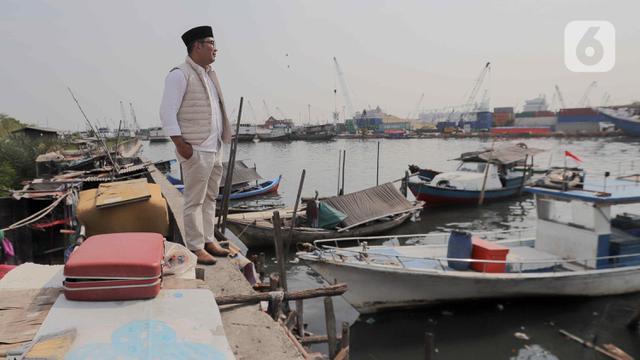 Sambangi Kampung Luar Batang, Cagub Ridwan Kamil Cek Tanggul Laut Jakarta