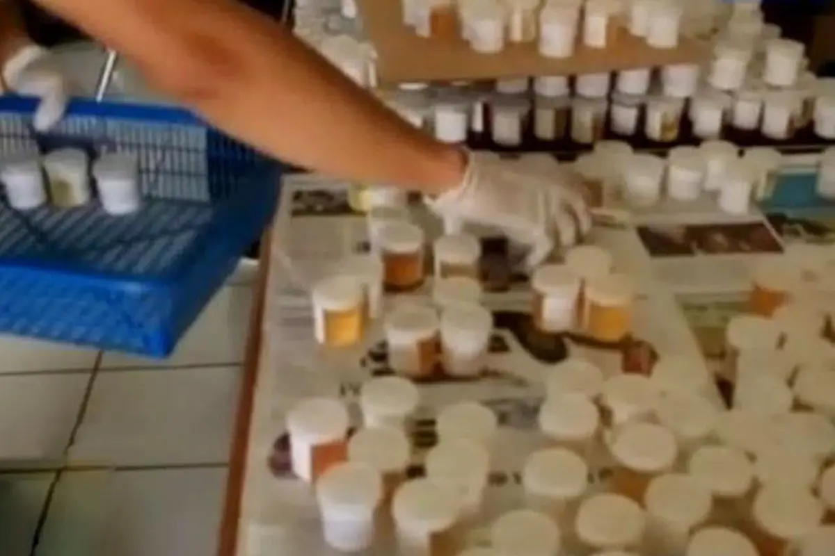 BNN Gelar Tes Urine untuk Mahasiswa Baru Universitas Lampung
