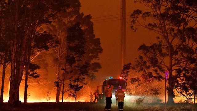 Petugas pemadam kebakaran menyemprot pohon saat berusaha memadamkan api akibat kebakaran hutan di sekitar kota Nowra, negara bagian New South Wales, Australia, Selasa (31/12/2019).