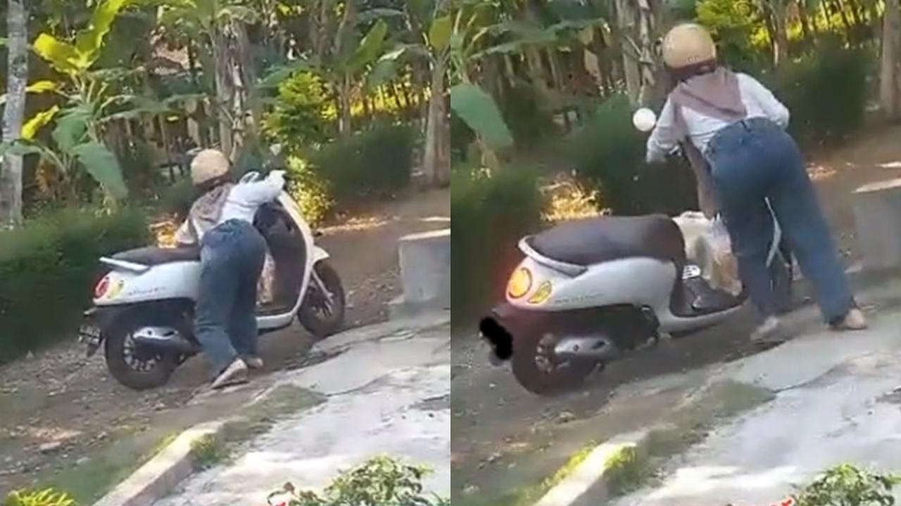 Wanita muda ketakutan diserang angsa dan jadikan Scoopy tameng (TikTok/@markonaah07)