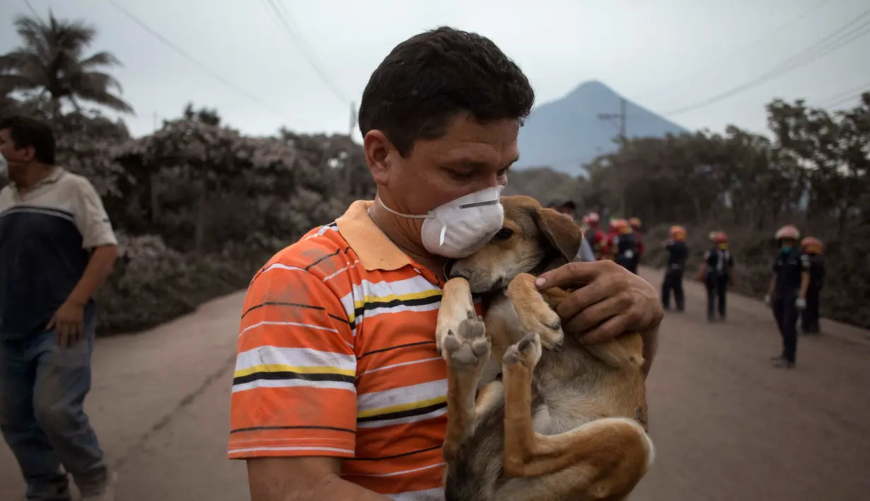 Seorang warga memeluk anjingnya setelah menyelamatkannya di dekat Volcan de Fuego, atau "Gunung Api Api," di Escuintla, Guatemala (4/6). Puluhan orang tewas akibat bencana tersebut. (AP Photo/Luis Soto)