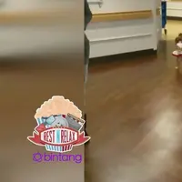 Anjing Ini Berjalan Seperti Model