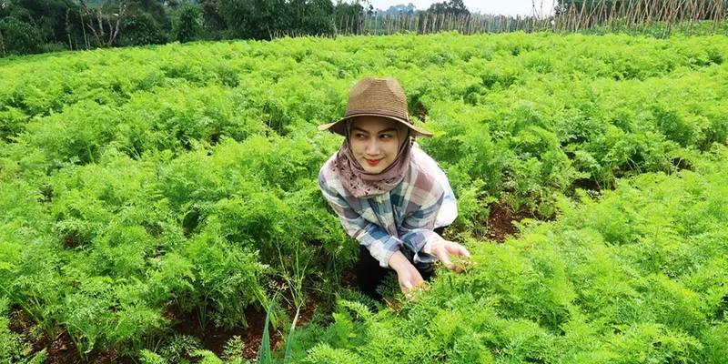 FOTO: Begini Serunya Melody Eks JKT48 Saat Panen di Kebun