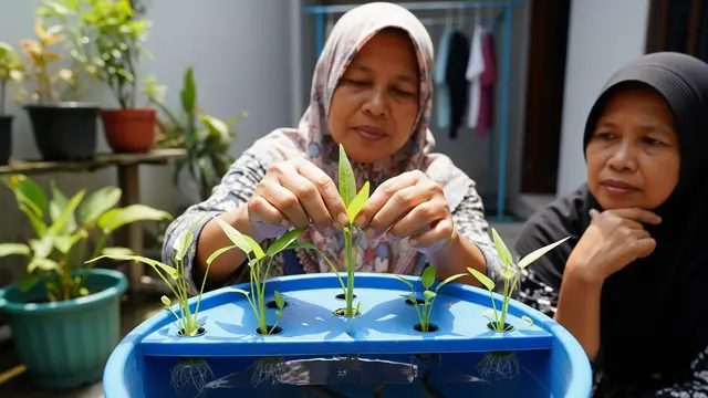 Contoh Program Ketahanan Pangan untuk Kelompok Ibu PKK
