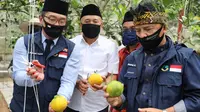 Menteri Koperasi dan UKM Teten Masduki mengunjungi Koperasi Pondok Pesantren Al Ittifaq di kawasan Ciburial, Bandung, Minggu (21/6/2020). (Dok Kemenkop)