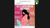 Cek Fakta: Tidak Benar Tautan untuk Mengecek Bantuan Ibu Hamil Mei 2026