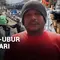 Panen Ubur-Ubur 500 Ton Sehari
