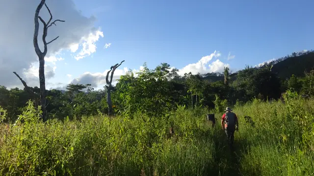 Jalur trekking Gunung Dola Koyakoya