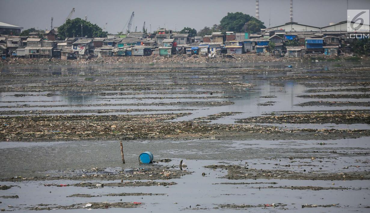 FOTO: Kondisi Waduk Pluit Memprihatinkan - News Liputan6.com