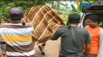 Anak salah satu korban, yakni Rasminah, tak kuasa menahan tangis dengan menyaksikan jenazah ibunya dibawa turun dari ambulans.