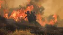 Otoritas setempat mengungkap bahwa kebakaran hutan yang dipicu oleh angin kencang di dekat kota Ierapetra, pulau Kreta, yang merupakan salah satu destinasi wisata favorit di Yunani. (Costas Metaxakis/AFP)