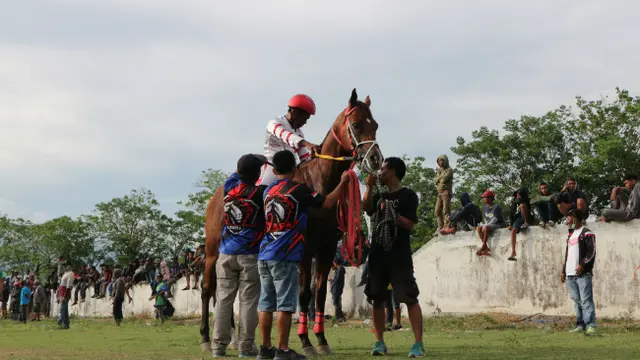 Menilik Kebangkitan Lomba Pacuan Kuda Pascabencana di Sulteng