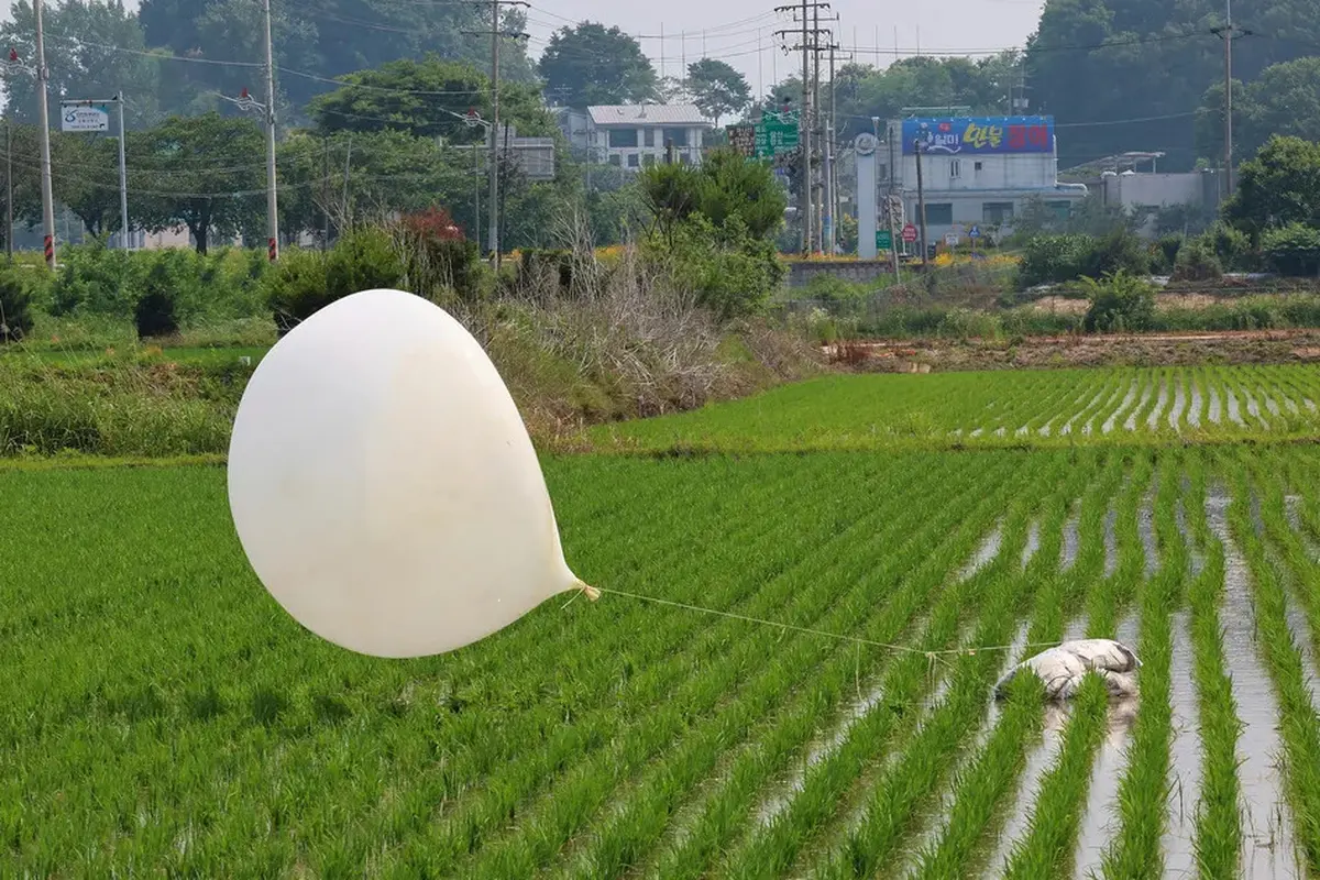 Sebuah balon isi sampah yang diduga dikirim oleh Korea Utara terlihat di sawah di Incheon, Korea Selatan, pada 10 Juni 2024. (Im Sun-suk—Yonhap/AP)