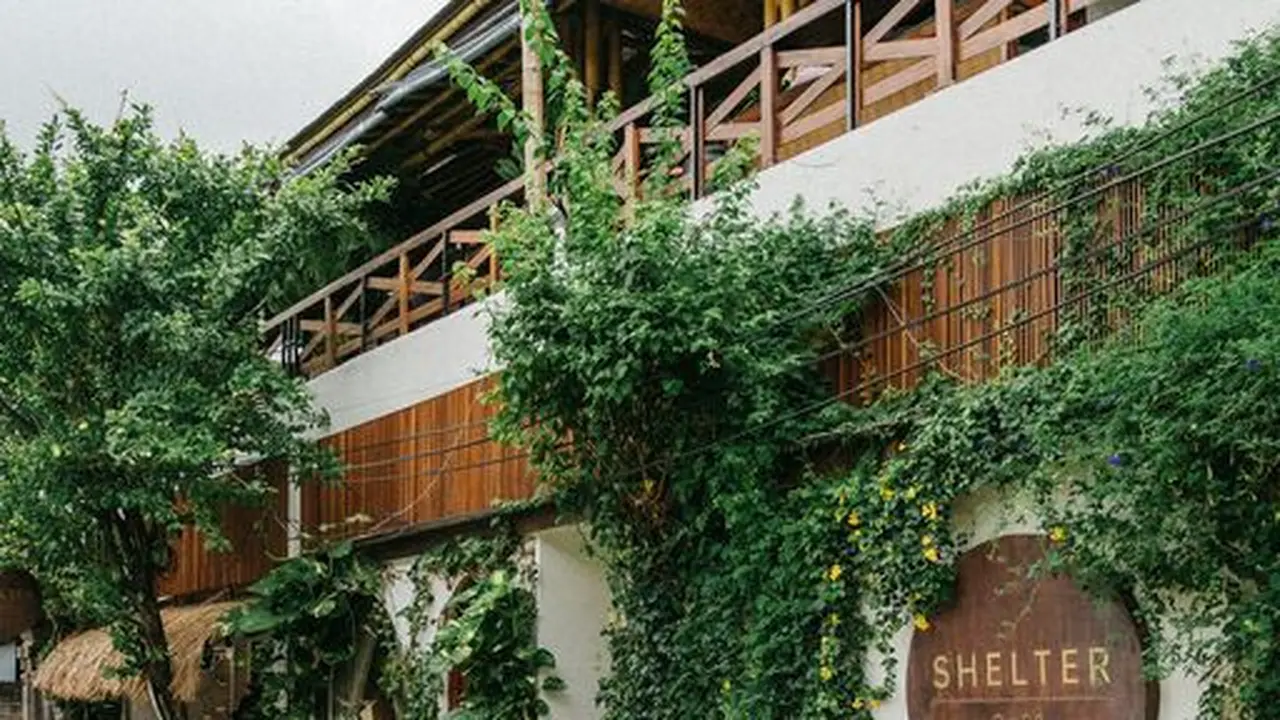 Shelter Cafe