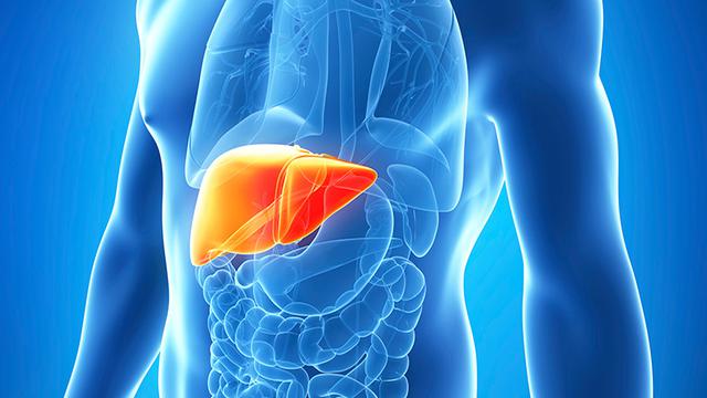 Manfaat Asam Jawa bagi Kesehatan